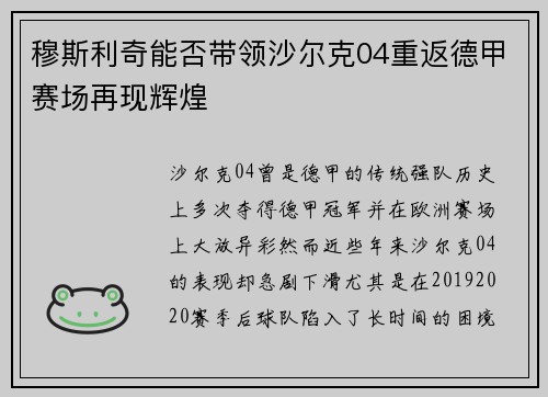穆斯利奇能否带领沙尔克04重返德甲赛场再现辉煌 穆斯利奇能否带领沙尔克04重返德甲赛场再现辉煌